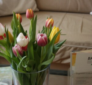 Blumen und Flyer auf Glasstisch im Praxisraum der Kinderwunschberatung Bremen