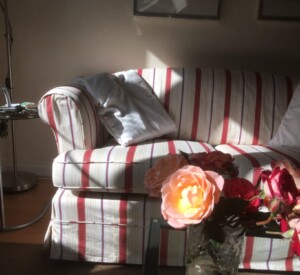 Weiss, rotes Sofa in der Praxis der Kinderwunschberatung Bremen
