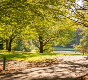 Sonniger Stadtpark